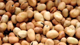 ارتفاع أسعار الفول المعبأ والدقيق والزيت اليوم الخميس بالأسواق