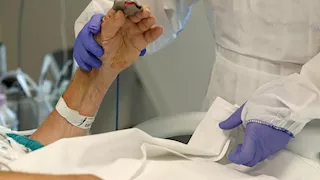 إيطاليا تعلن ظهور أول حالة أوروبية مصابة بأنفلونزا الطيور