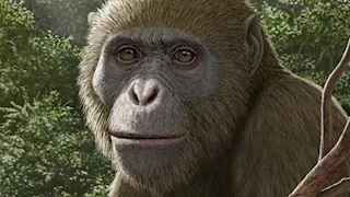 اكتشاف مصري في "ساينس" يعيد رسم خريطة تطور الإنسان.. كيف تفاعل العلماء حول العالم؟