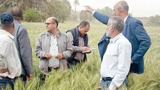 لمواجهة التحديات المناخية.. “الزراعة” تكثف الدعم الفني والإرشادي للمزارعين بأسوان