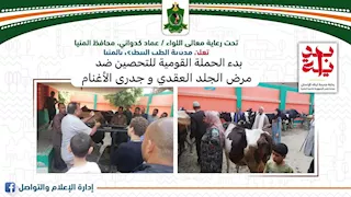 انطلاق الحملة القومية للتحصين ضد الجلد العقدي وجدري الأغنام بالمنيا