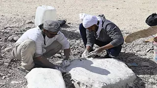 جامعة الوادي الجديد تكتشف أقدم سلحفاة بحرية عملاقة بأفريقيا (صور)