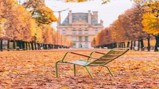  لماذا تبدو بعض الأماكن مألوفة رغم زيارتها لأول مرة؟- اعرف السر 