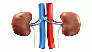  تناول هذه الأطعمة ليلا يُجهد كليتيك بصمت.. احذر قبل فوات الأوان