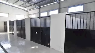 بدء التشغيل التجريبي لشلتر إيواء الكلاب الضالة في بورسعيد