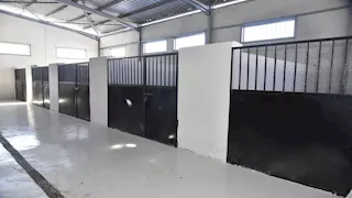 مدير الطب البيطري ببورسعيد يكشف تفاصيل واقعة اقتحام شالتر للكلاب 