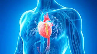  نصائح ذهبية لخفض ضغط الدم والوقاية من أمراض القلب