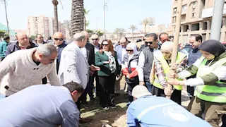 زراعة 9460 شجرة جديدة بالإسكندرية لتحسين جودة الهواء