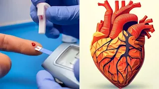اكتشاف مذهل.. علاج السكري قد يحمي القلب من التلف