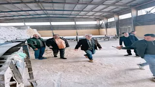 في 10 محافظات.. "الزراعة" تشن حملات تفتيش مفاجئة على مصانع ومخازن الأعلاف