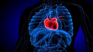 ما أسباب وأعراض متلازمة القلب المكسور؟