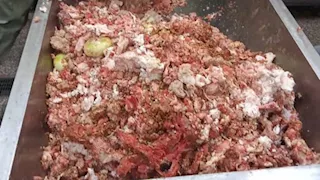 ضبط كميات كبيرة من اللحوم الفاسدة وتحرر 45 محضرًا بالمنوفية (صور)