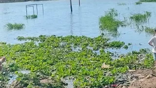 مصرع عامل زراعي غرقاً في بركة ري بالوادي الجديد.. والأمن يحقق