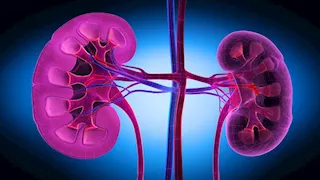 مشروب بعد الإفطار يعزز وظائف الكبد والكلى.. احرص عليه