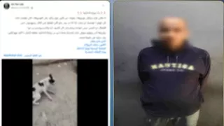 الداخلية تكشف ملابسات فيديو التعدي على كلب ضال في القاهرة 