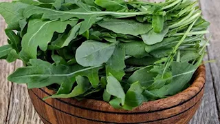 هل تناول الجرجير يقلل الجفاف؟