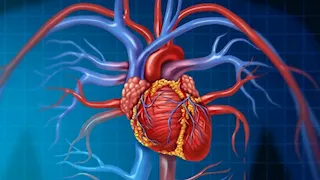  دراسة تكشف .. نظام غذائي يعزز صحة القلب ويخفض الدهون