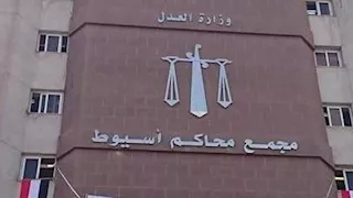 إعدام متهم بقتل سائق لسرقة سيارته بعد مطاردة على طريق أسيوط–سوهاج