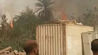 حريق يلتهم أشجار النخيل في قرية الحلة بإسنا جنوب الأقصر