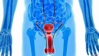 لا يلاحظها الرجال بسهولة.. علامة خفية تدل على سرطان الخصية