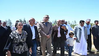 الذهب الأصفر يزين أرض الفيروز.. محافظ جنوب سيناء يشهد بدء حصاد القمح