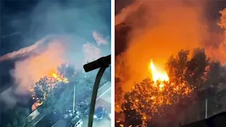 السيطرة على حريق في "أشجار وهيش" بجوار مقابر الأربعين بالسويس (صور)