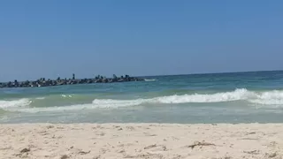 السياحة والمصايف بالإسكندرية: 27 شاطئًا غير مؤهل لاستقبال المصطافين