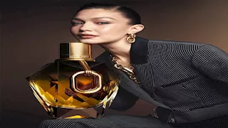 جمالهن لافت.. أشهر عارضات الأزياء العالميات من أصول عربية 