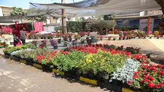 وزير الزراعة يتفقد معرض زهور الربيع ويشيد بالإقبال الكثيف