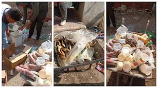 ضبط كميات رنجة فاسدة خلال حملات سلامة الغذاء بكفر الشيخ (صور)