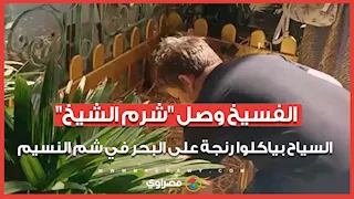 الفسيخ وصل "شرم الشيخ".. السياح بياكلوا رنجة على البحر في شم النسيم