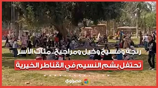 رنجة وفسيخ وخيل ومراجيح.. مئات الأسر تحتفل بشم النسيم في القناطر الخيرية