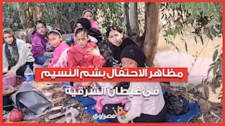 بين المساحات الخضراء ولمة العيلة.. شاهد مظاهر الاحتفال بشم النسيم في غيطان الشرقية