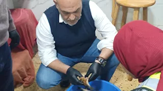 "بيطري القليوبية" يصادر 1500 كيلو سردين ورنجة غير صالحة للأكل ببنها