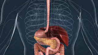 5 علامات تدل على وجود مشكلة في الأمعاء- احذرها 