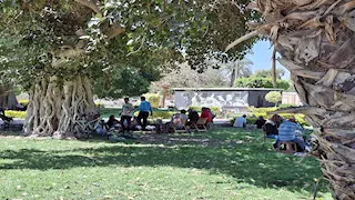 تحت الأشجار المعمرة.. احتفالات شم النسيم في الجنينة الفرنساوي بالسويس (فيديو وصور)