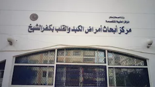 خرجت أحشائها.. جراحة معقدة تنقذ سيدة بعد انفجار جدار البطن بكفر الشيخ