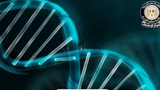 إنجاز علمي جديد يضع مصر على خريطة الأبحاث الجينية العالمية.. ما القصة؟