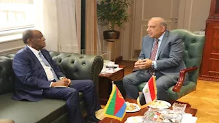مصر وإريتريا تبحثان تعزيز التعاون في الكهرباء والطاقة المتجددة ونقل الخبرات