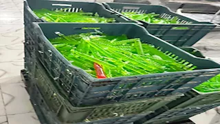 كارثة في الأقصر.. ضبط 53 ألف عبوة عصير أطفال مصنعة من مواد منتهية الصلاحية