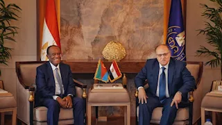 هيئة الدواء تبحث تعزيز التعاون مع إريتريا في القطاع الدوائي - تفاصيل