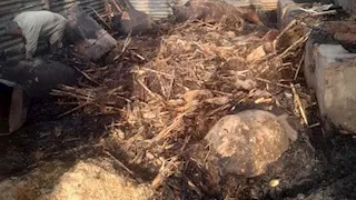 "تحويشة العمر ضاعت".. حريق جهاز عروس و5 رؤوس ماشية بالمنوفية