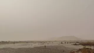 عاصفة ترابية تضرب "الفرافرة" والوادي الجديد ترفع حالة الطوارئ 