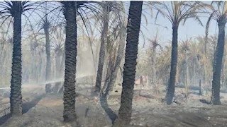 إصابة سيدة باختناق في حريق مزرعة نخيل بالعوينة بالوادي الجديد (صور)