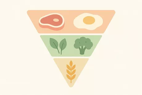 الهرم الغذائي الجديد لعام 2026- إليك طريقة الأكل الصحيحة "فيديوجرافيك"