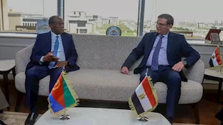 وزير الزراعة يبحث مع وفد إريتري تعزيز التعاون في التصنيع الزراعي والأمن الغذائي