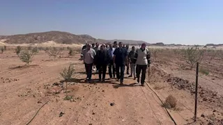 تحرك حكومي عاجل لدعم مزارعي "وادي سعال" بجنوب سيناء بعد موجة السيول