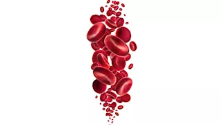 علامات على أظافرك لا تتجاهلها.. إشارات مبكرة تكشف الإصابة بالأنيميا