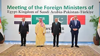 اجتماع وزراء خارجية مصر وتركيا وباكستان والسعودية في أنطاليا