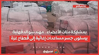 بمشاركة مئات الأعضاء.. مهندسو الدقهلية يرسلون جسر مساعدات إغاثية إلى قطاع غزة